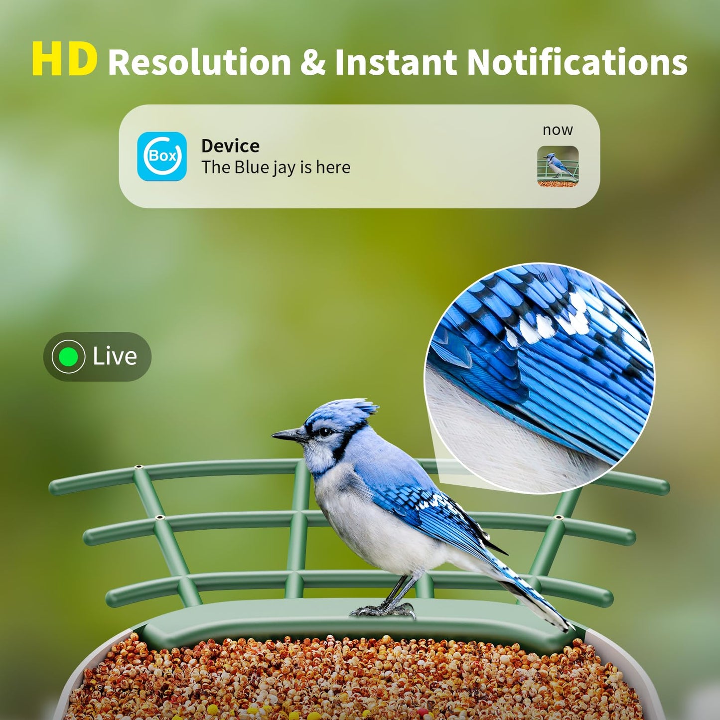 Bird Feeder with Camera, 1 Year Trial AI Identify, Birds Watching Camera with 4 DIY Add-ons, Smart Birds Cam with Solar Panel for Outdoor, Auto Record Videos, Gift for Bird Lover