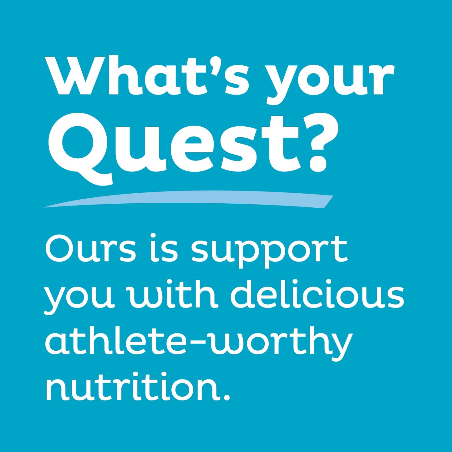 Quest Nutrition Protein Chips Variety Pack Bundle, High Protein, Low Carb, 24 Count