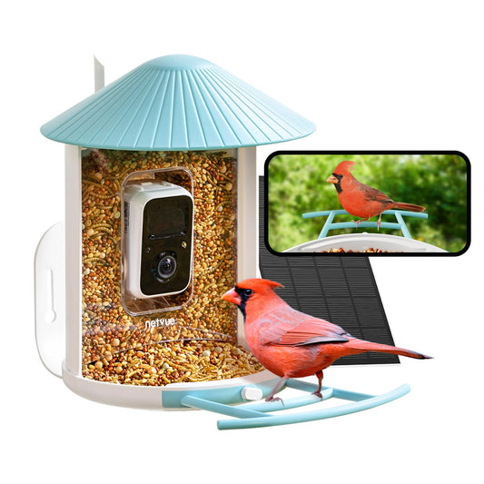 NETVUE Birdfy® Smart Bird Feeder with Camera, Bird Watching Camera, Auto Capture Bird Videos & Motion Detection, Wireless Camera Ideal Gift for Bird Lover (Solar Blue)