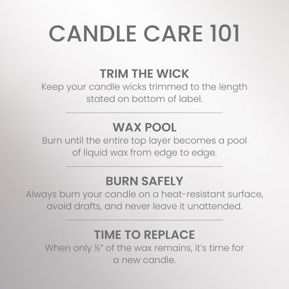 Yankee Candle Large Jar Scented Candle with up to 150 Hour Burn Time, Premium Plant Wax Blend for Consistent Burn, 22 oz Jar Candle with Room Filling Fragrance, Silver Birch