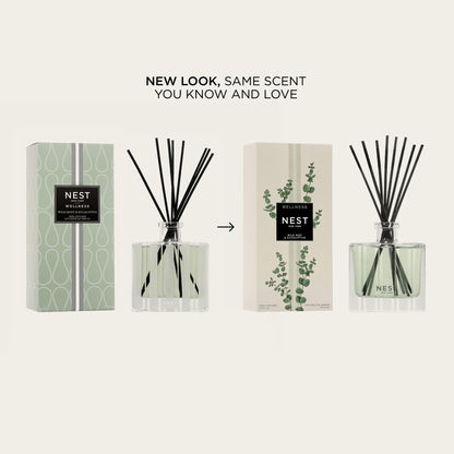 NEST New York Reed Diffuser, Wild Mint & Eucalyptus - 5.9 fl oz - Fragrance for Up to 90 Days - Reusable, Refillable Glass Holder - Includes 8 All-Natural Reed Sticks - Flame Free
