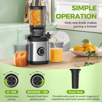 Cold Press Juicer Machines, Juicer Machines for Whole Fruits and Vegetables, Masticating Juicers, High Juice Yield, BPA Free