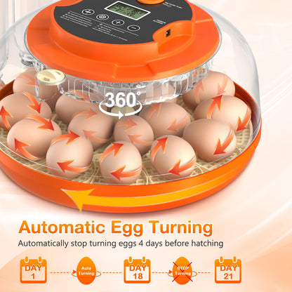 18 Egg Incubator with Automatic Egg Turning and Humidity Control, Incubators for Hatching Eggs, Chicken, Ducks, Goose, Pigeon, Quail, Parrot Incubator for Farm, Lab, Science Classroom, Home (Orange)