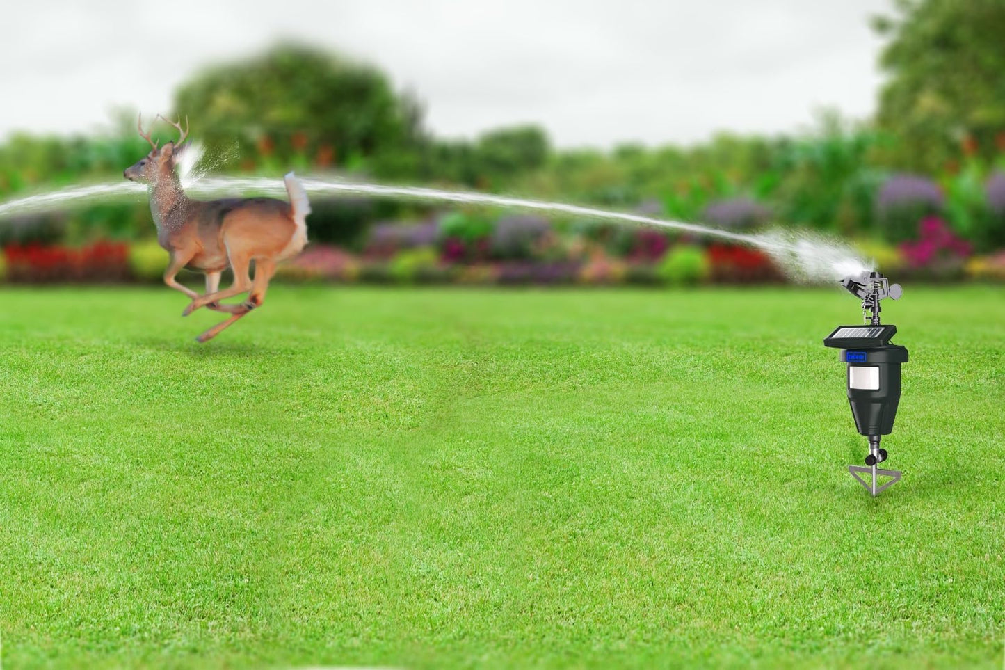 Deer Repellent & Cat Repellent Outdoor- Skunk Repellent for Yard, Cat Deterrent, (2 Pack) Motion Activated Sprinkler, Deer Repellent Devices, Raccoon & Dog Repellent for Yard