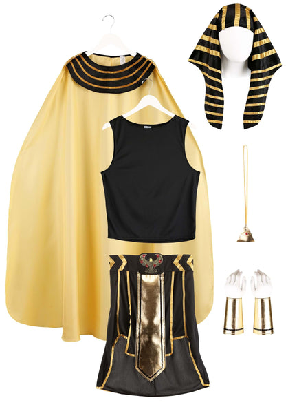Dreamgirl Men's King of Egypt Adult Fashion Costume