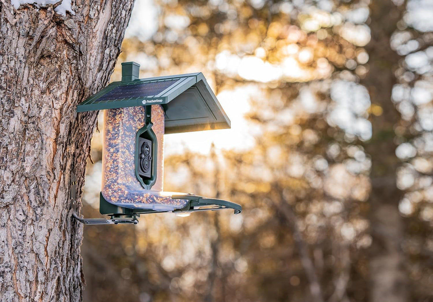 FeatherSnap Scout Wi-Fi Solar Powered Smart Bird Feeder - Automatically Captures HD Pictures and Videos! Best Gift for Bird Watchers! Dual Seed Chamber - Feather Snap