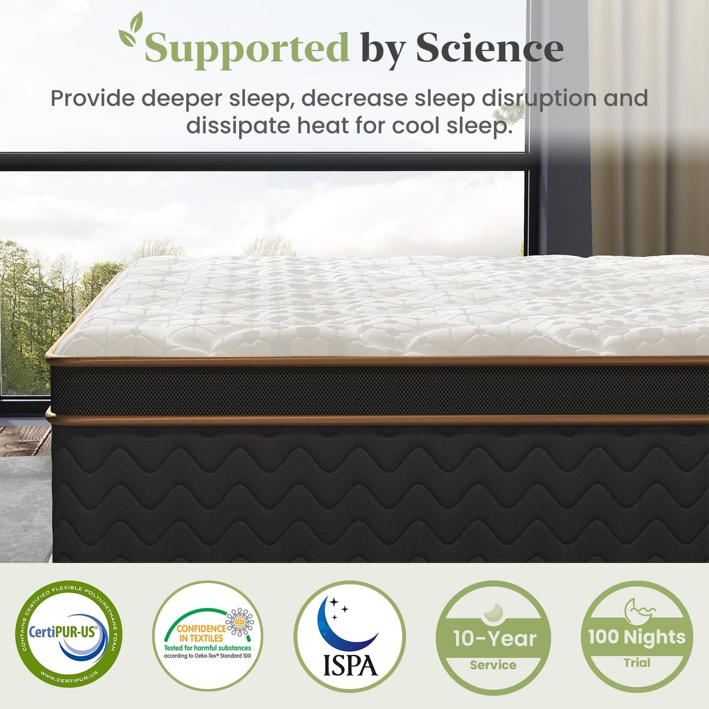 FP Flexpedic Queen Mattress, 12 Inch Extra Plush Hybrid Mattress with Memory Foam,Fiberglass-Free Mattress in a Box, Individual Pocket Spring-Motion Isolation-Edge Support,100 Nights Trial,CertiPUR-US