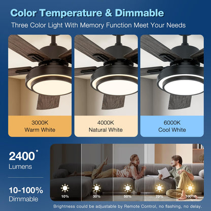 warmiplanet Ceiling Fans with Lights and Remote Control, 52 Inch, 6 Speeds Reversible DC Motor, 3 Color Dimmable Light, Timer, Noiseless, Black, 5 Blades