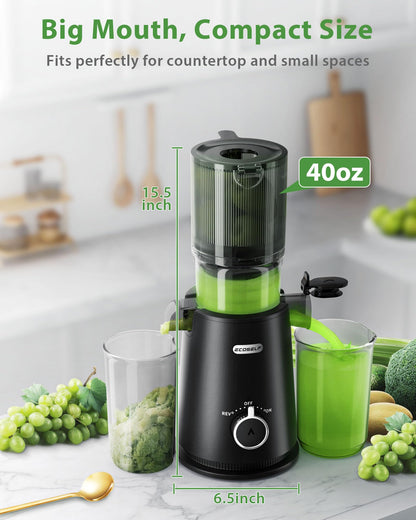 Juicer Machines, ECOSELF Cold Press Juicer with 4.35" Large Feed Chute Fit Whole Fruits & Vegetables, Juicer Machine Self Feeding Effortless for Batch Juicing, High Juice Yield, Easy to Clean