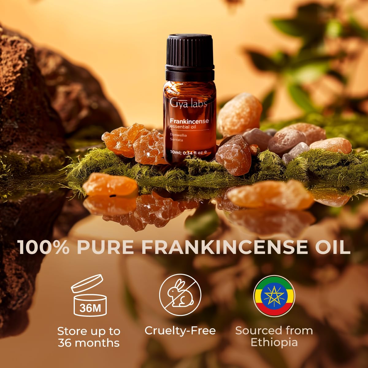 Gya Labs Frankincense Essential Oil for Face - 0.34 Fl Oz - 100% Pure Natural Frankincense Oil for Skin, Body Massages & Candle Making - Premium Grade for Wellness & Comfort - Woody & Calming Scent
