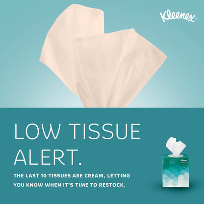 Kleenex Professional Facial Tissue, Bulk (21270), 2-Ply, White, Upright Cube Boxed Format, Designed for Business (90 Tissues/Box, 36 Boxes, 3,240 Sheets/Case)