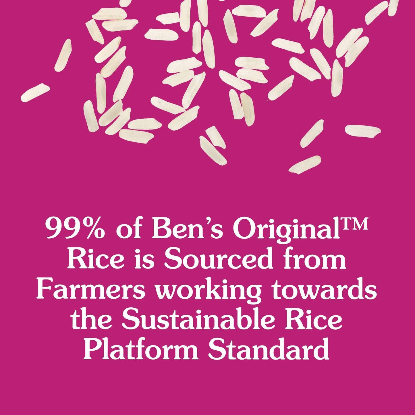 BEN'S ORIGINAL Ready Rice Roasted Chicken and Spanish Style Flavored Rice Variety Pack, Easy Dinner Sides, 8.8 OZ Pouch (Pack of 6)