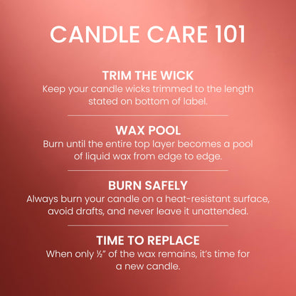 Yankee Candle Large Jar Scented Candle with up to 150 Hour Burn Time, Premium Plant Wax Blend for Consistent Burn, 22 oz Jar Candle with Room Filling Fragrance, Apple Pumpkin