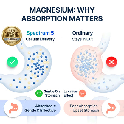 Spectrum 5 Magnesium | 5-in-1 Complex + 72 Trace Minerals for Enhanced Absorption | Irish Sea Sourced | 500mg per Serving | Made in USA, Third Party Tested, GMP Certified