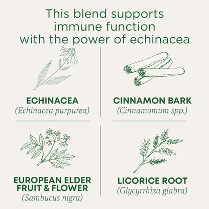 Traditional Medicinals Tea, Organic Immune Zoom Elderberry Echinacea - Supports Immune Function - Kosher, Non-GMO, Caffeine-Free, Compostable - 48 Tea Bags