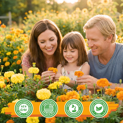 Fruivity Petite French Marigold Seeds for Planting, 400+ Flower Seeds Non-GMO Heirloom Seed Packet,Home and Garden Easy to Grow, Indoor & Outdoor Gardening, Companion Plant & Quick Blooming