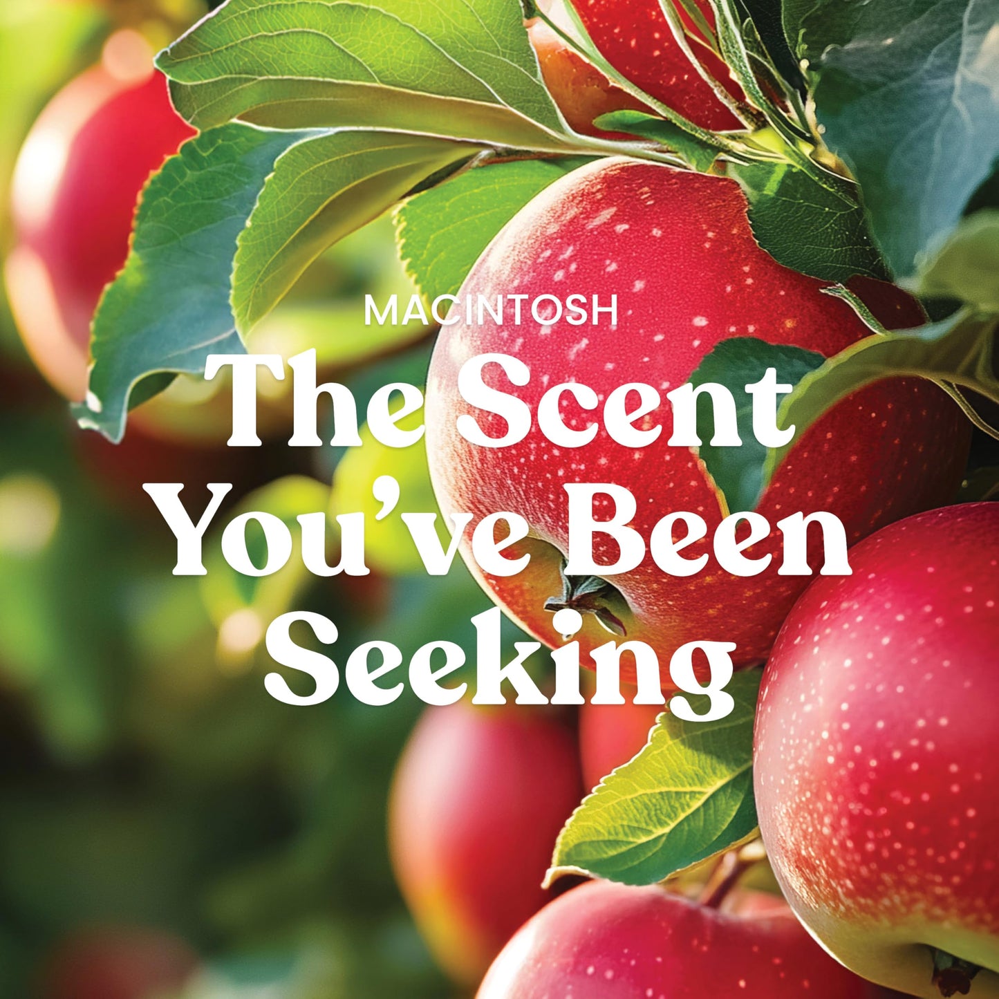 Yankee Candle Macintosh, Fall Scented Candle, 22oz Large Jar with up to 150 Hour Burn Time