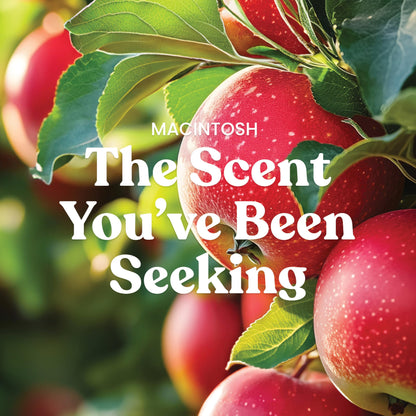 Yankee Candle Macintosh, Fall Scented Candle, 22oz Large Jar with up to 150 Hour Burn Time