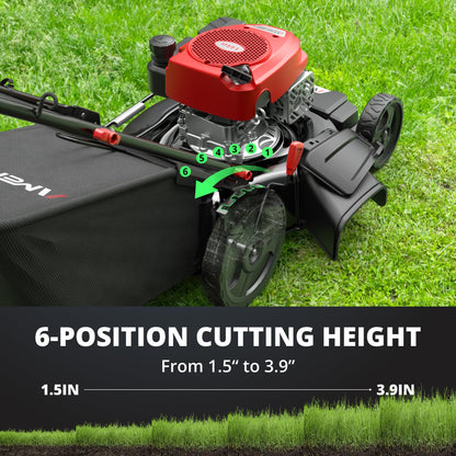 AMERISUN 21-Inch 3IN1 Push Gas Lawn Mower with Mulching, Bagging & Side Discharge, 144cc 4-Stroke OHV Engine, Adjustable 6-Height Cutting, 1.4 Bushel Grass Catcher, Residential Yard & Garden Use