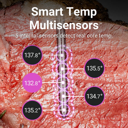 MEATER Pro: Smart Bluetooth Wireless Meat Thermometer Digital | 1000°F Heat Resistance | Long Range | Certified Accuracy | BBQ, Oven, Grill, Smoker, Air Fryer, Deep Fryer | 50+ Recipes in App