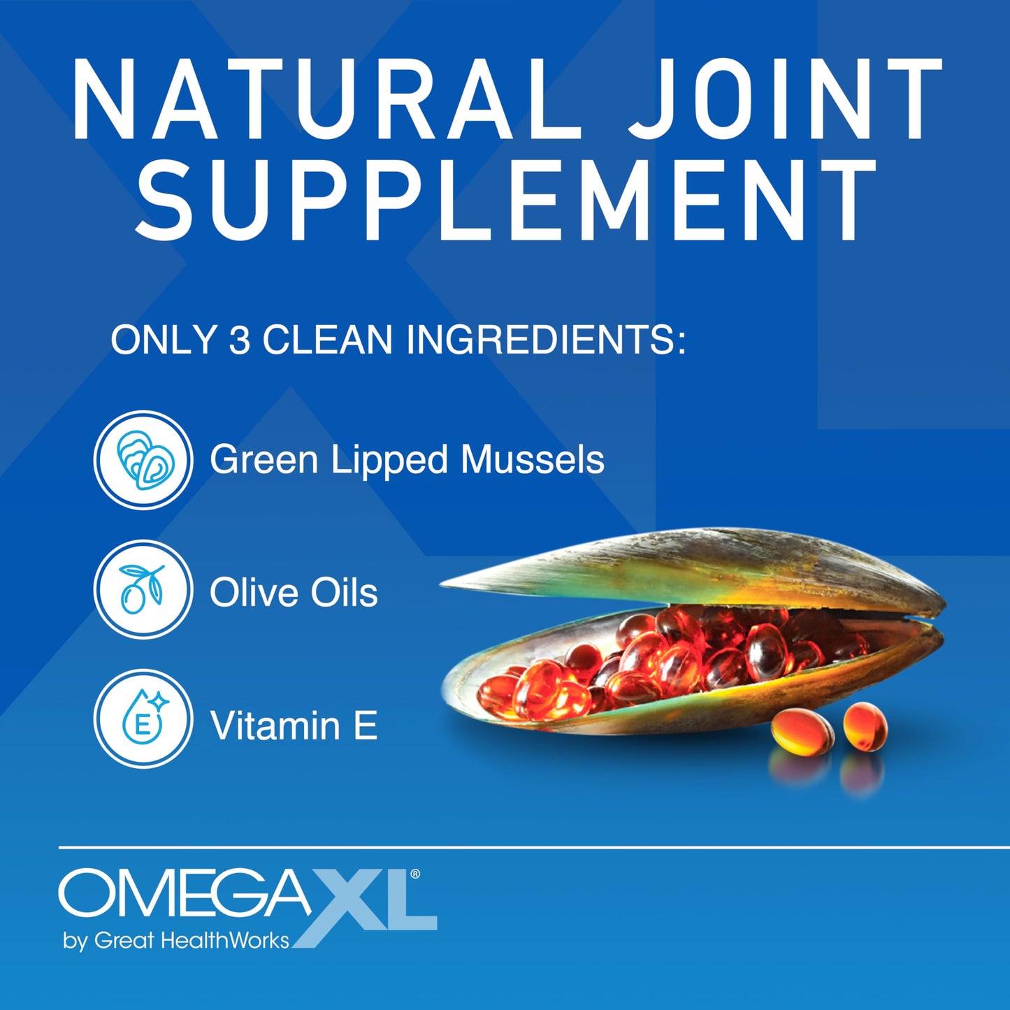OmegaXL Joint Support Supplement - Natural Muscle Support, Green Lipped Mussel Oil, Soft Gel Pills, Drug-Free, 120 Count