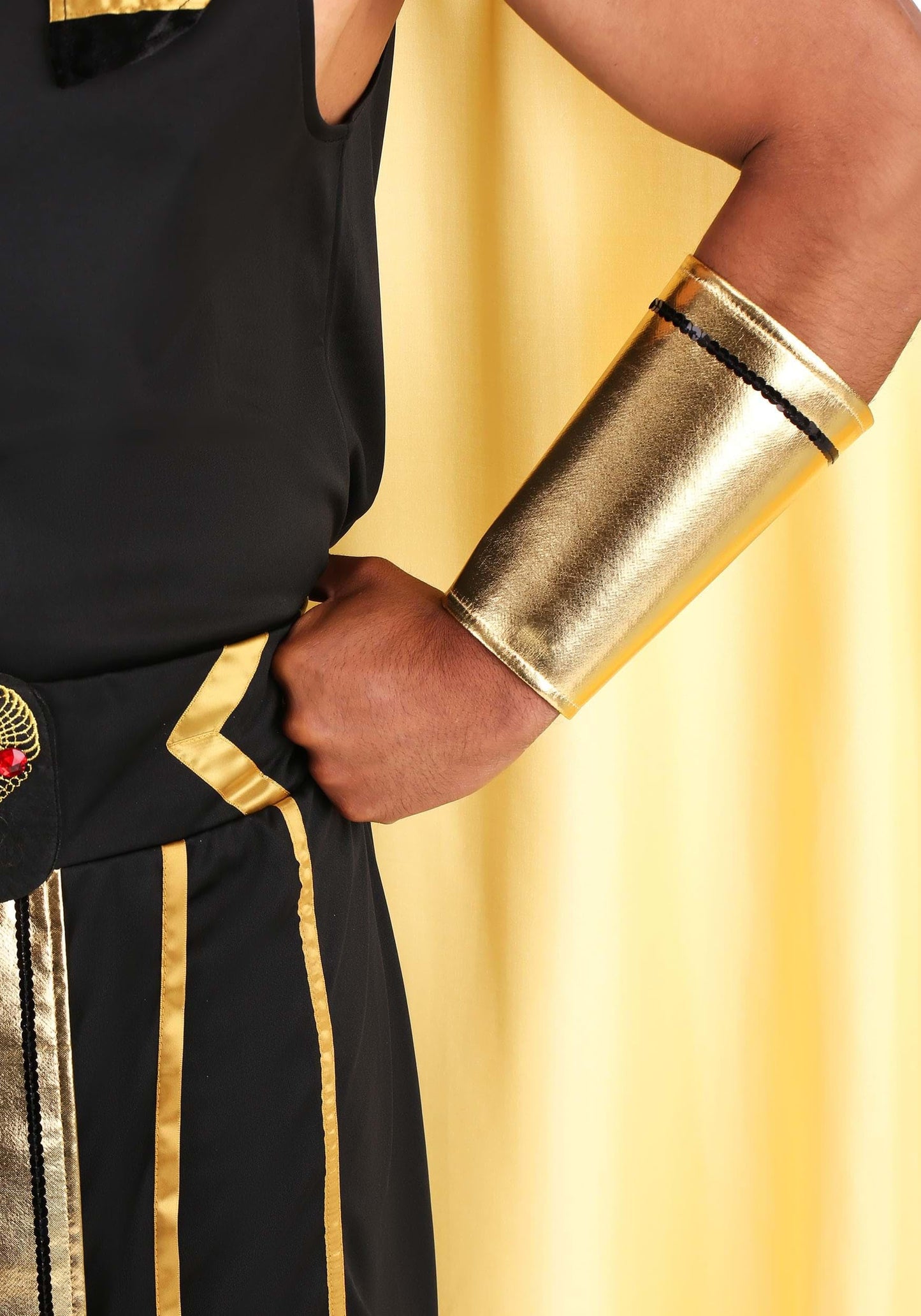 Dreamgirl Men's King of Egypt Adult Fashion Costume