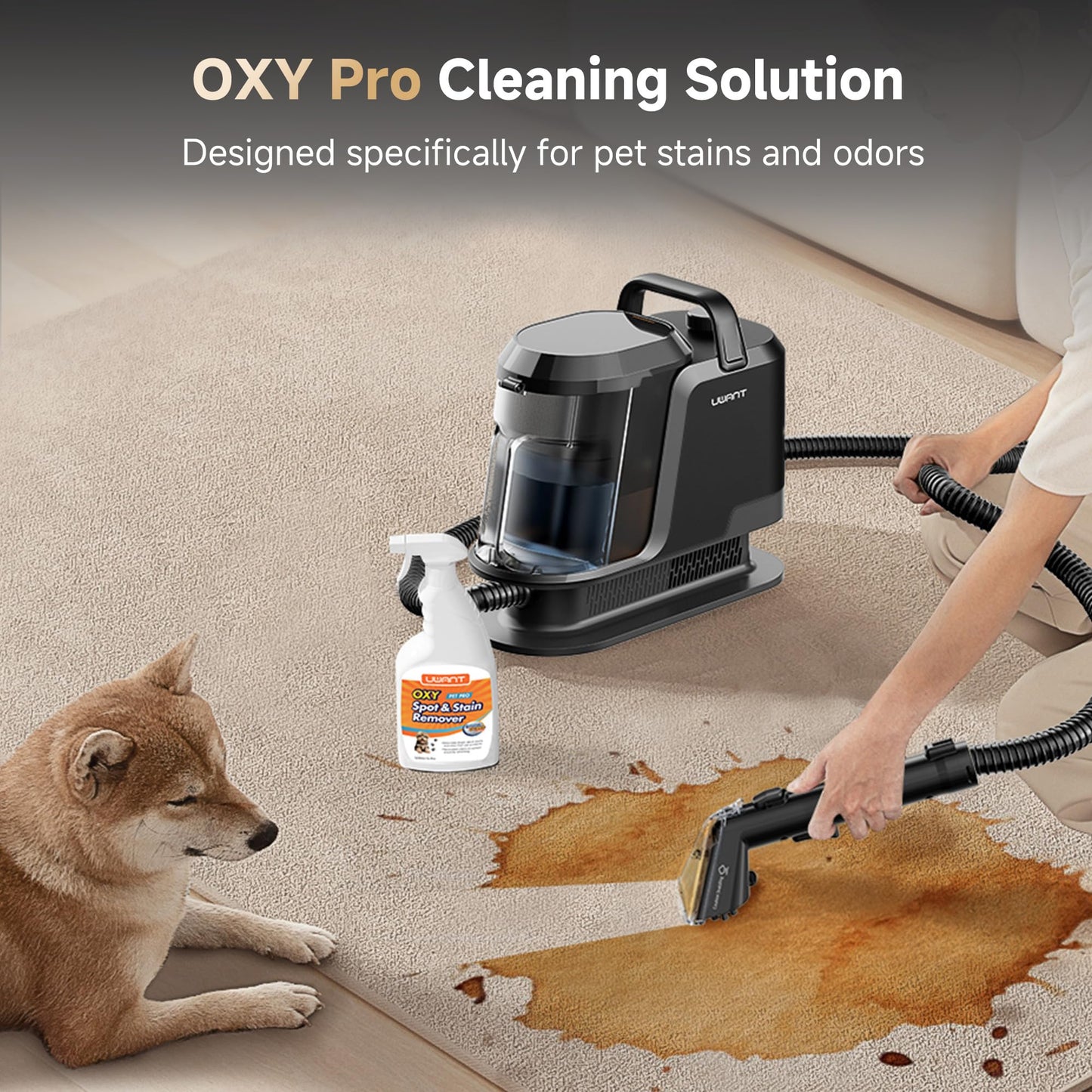 uwant Carpet Cleaner Machine with Steam&Hot&Cold Water System 18Kpa Powerful Suction Upholstery Cleaner Machine with Pet Pro Cleaner for Pets, Carpet Steam Cleaner Set of 1