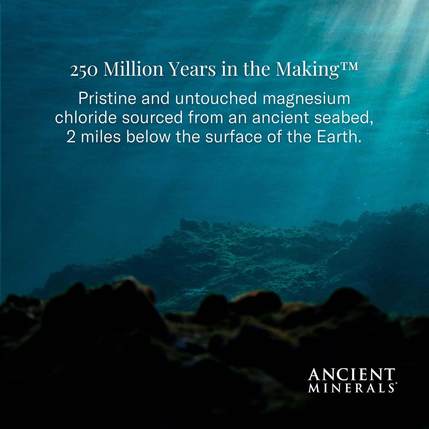 Ancient Minerals Magnesium Bath Flakes of Pure Genuine Zechstein Chloride - Resealable Magnesium Supplement Bag That Will Outperform Leading Epsom Salts 1.65 lbs