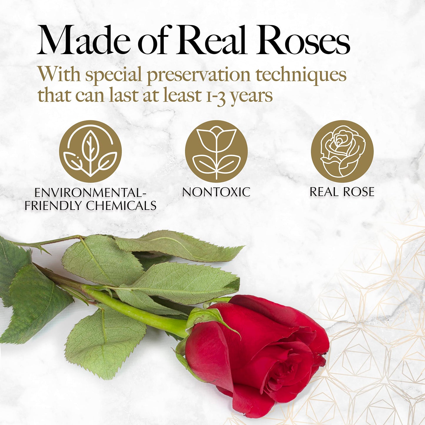 GLAMOUR BOUTIQUE 27 Preserved Roses in a Heart Box - Flowers Forever Valentine's Day, Roses Forever for Women, Roses Forever in a Box, Birthday Gifts for Her, Red