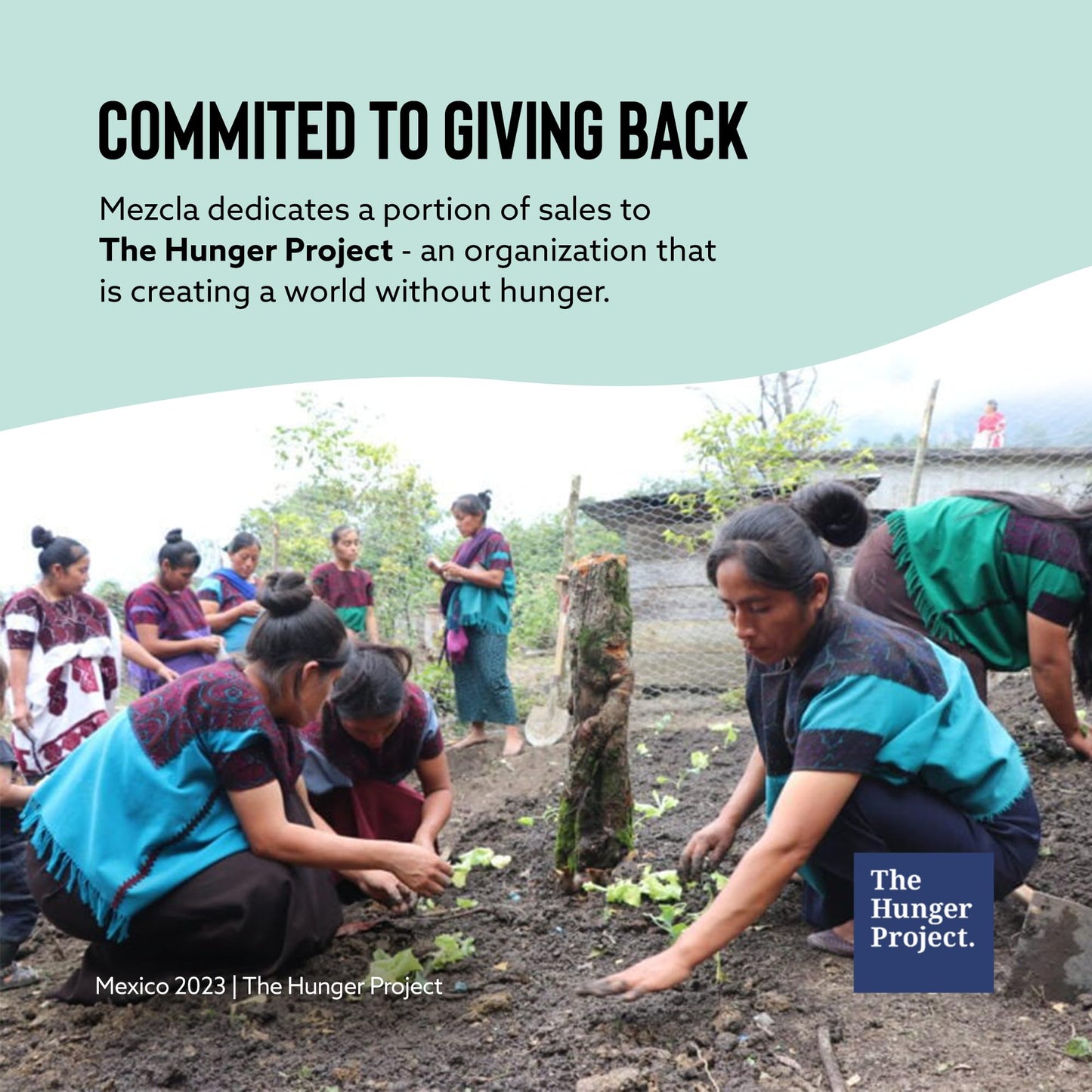 Mezcla Puff Crispy Protein Bars, Gluten Free & Vegan Protein Bars, 10g Protein, Alt for Crispy Rice Treat, Granola Bars & Breakfast Bars, Healthy Snacks for Adults, Matcha Vanilla, 12 Pack