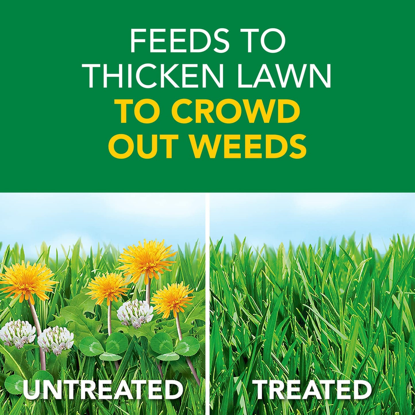 Scotts Turf Builder Weed and Feed3 - Weed Killer Plus Lawn Fertilizer, Controls Dandelion and Clover, Grass Fertilizer For Up To 15,000 sq. ft., 42.87 lbs.