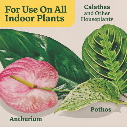 Miracle-Gro Indoor Plant Food Spikes for All Plants, Fertilizer Spikes for Houseplants, Flowers, Vegetables, and Herbs, 48 Spikes