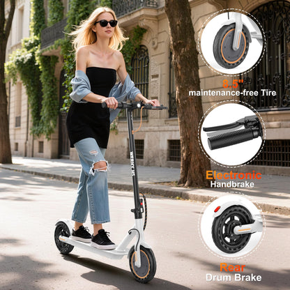 WERHY Electric Scooter for Adults, with 350W Powerful Motor, 12 Miles Range, 19 MPH Top Speed, with 8.5" Solid Tires, Foldable E Scooter with Dual Braking Systems and APP Control