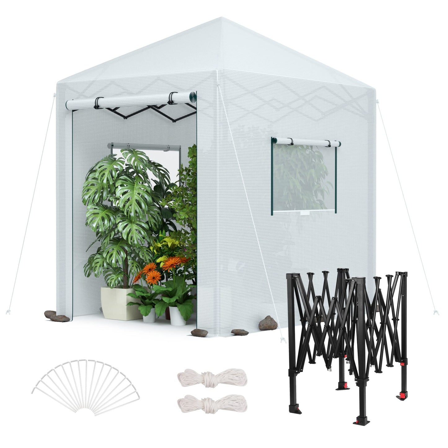 WORKPRO Greenhouse, 94" x70" x98" Instant Pop-up Heavy Duty Gardening Green House Canopy with Robust PE Cover, Indoor Outdoor Plant House Shed with Roll-up Entry Doors and 2 Screen Windows