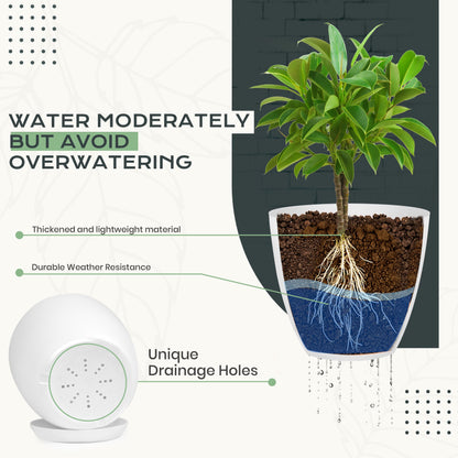 Utopia Home - Plant Pots Indoor with Drainage - 7/6.6/6/5.3/4.8 Inches Flower Pots for Indoor Planter - 10 Pack Plastic Planters - Ideal for Stocking Stuffers or Home Christmas Decorations - White