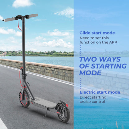 Roinside Electric Scooter Adults - 8.5" Solid Tires/350W Motor, 19 MPH Digital Display, Up to 21 Miles Long-Range Commuting Folding E-Scooter with Dual Braking System and App Control