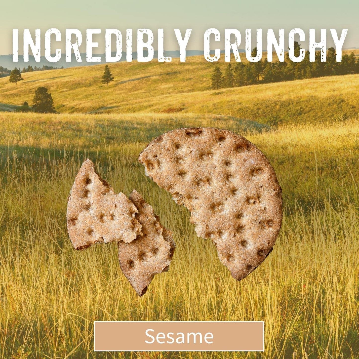 Sesmark Gluten Free Rice Thins Sesame - Non GMO Project Verified - 4.25 Oz. (Pack of 12)