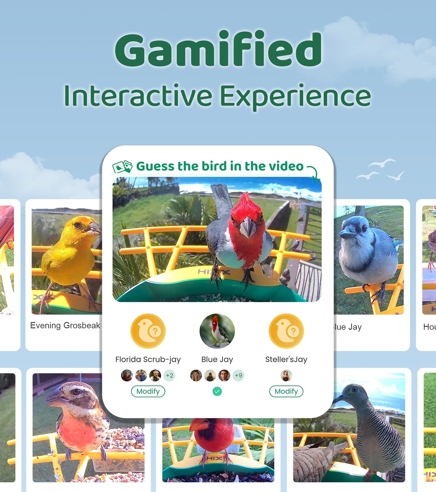 HIXX Smart Bird Feeder with Camera, Lifetime Free AI Bird Species Recognition, Solar-Powered Video Birds Feeder for Outdoors with HD Camera, Mounts Anywhere (Green)