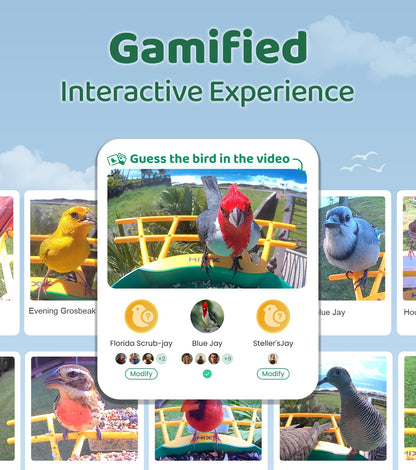 HIXX Smart Bird Feeder with Camera, Lifetime Free AI Bird Species Recognition, Solar-Powered Video Birds Feeder for Outdoors with HD Camera, Mounts Anywhere (Green)