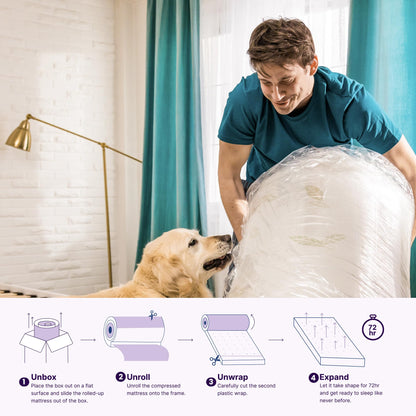 NapQueen Full Size Mattress, 12 Inch Anula Green Tea Infused Memory Foam Mattress, Full Size Mattress Bed in a Box, CertiPUR-US Certified Mattress