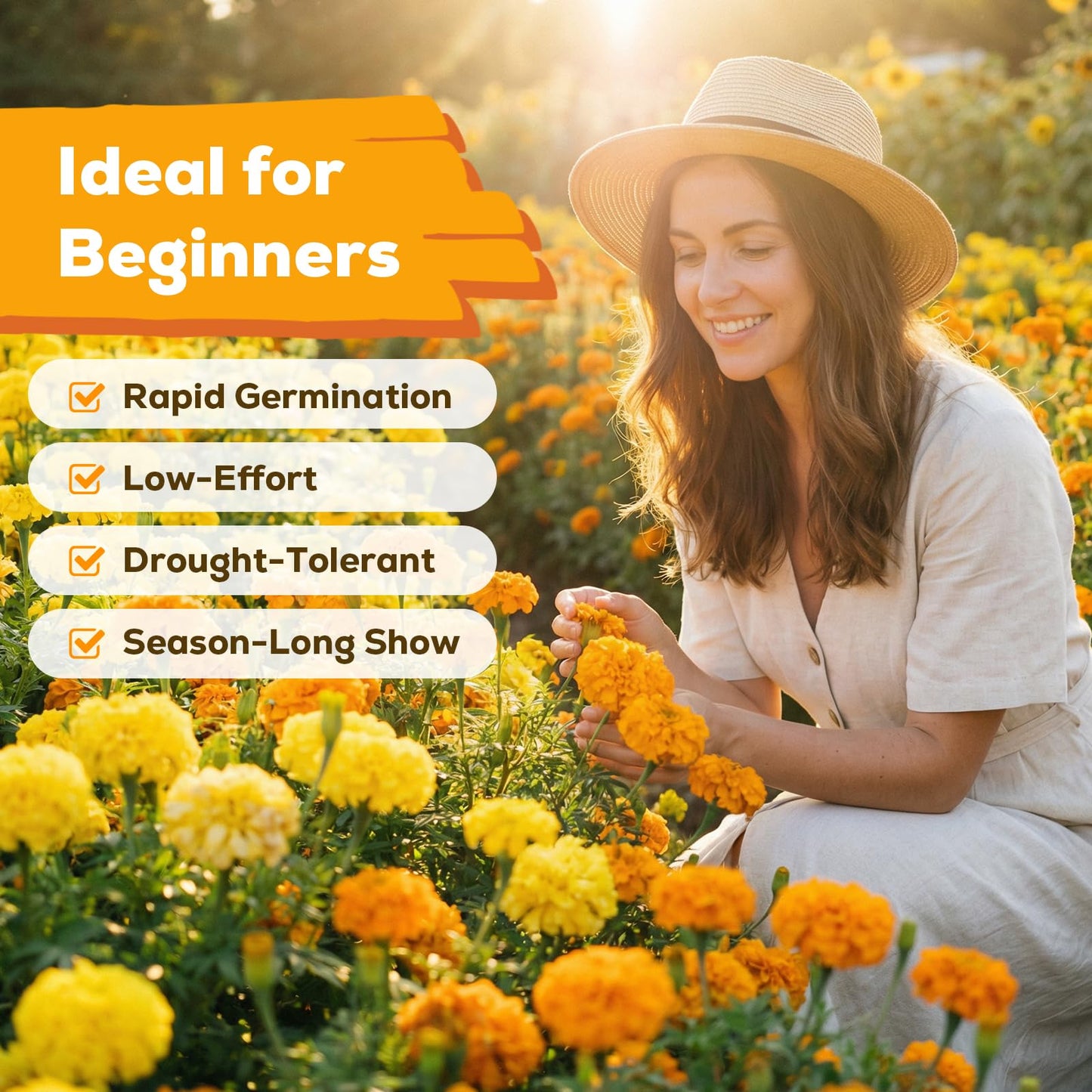 Fruivity Petite French Marigold Seeds for Planting, 400+ Flower Seeds Non-GMO Heirloom Seed Packet,Home and Garden Easy to Grow, Indoor & Outdoor Gardening, Companion Plant & Quick Blooming