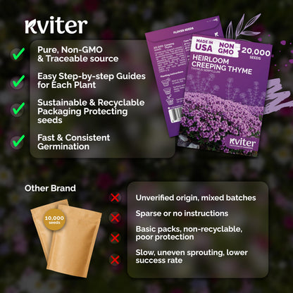 KVITER 20,000 Creeping Thyme Seeds (Thymus Serpyllum) – Wild Thyme, Aromatic Ground Cover, Purple Perennial Flower Seed Packets – Great Non GMO Herb Seeds for Outdoor Garden, Landscapes & Paths