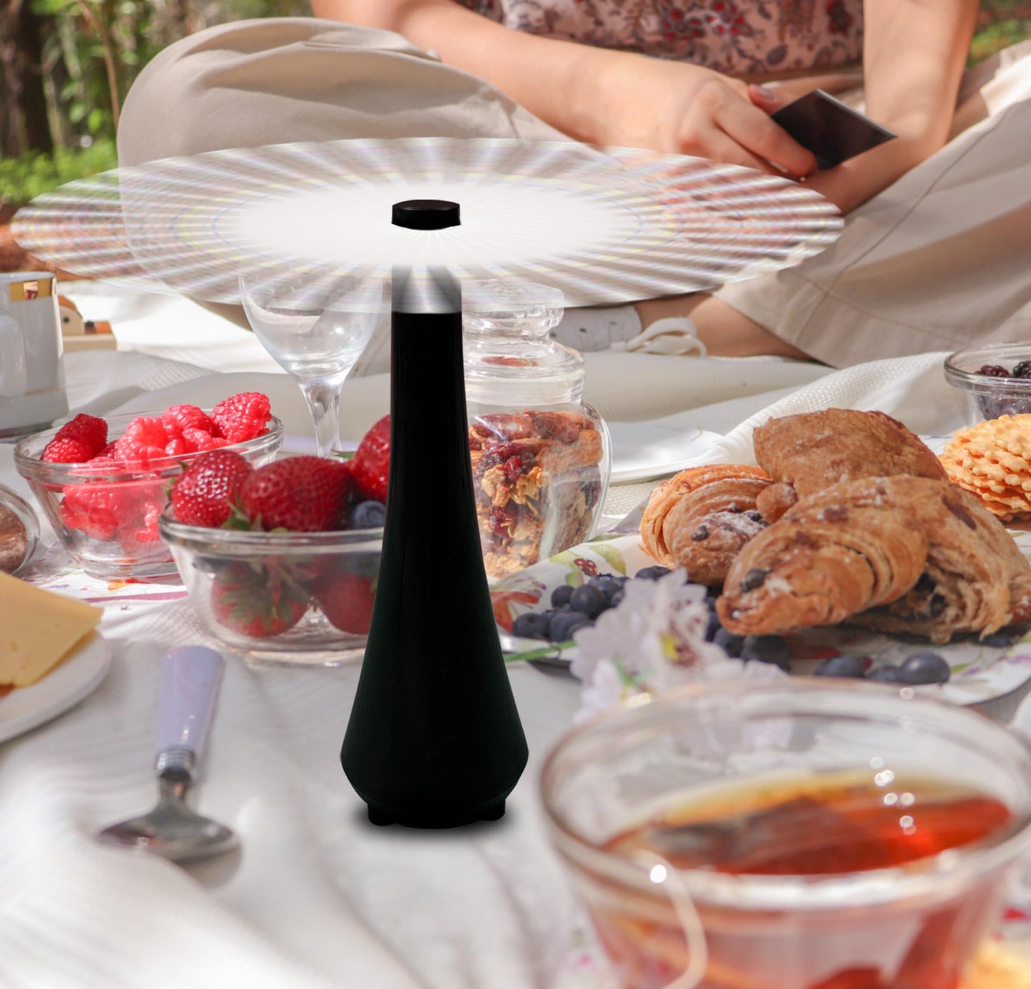 PATIOSIR Fly Swatter for Outside/Inside Meal, Picnic, Barbeque, Events - Battery Operated Food Spinning Fan (Black Color, 2pcs)