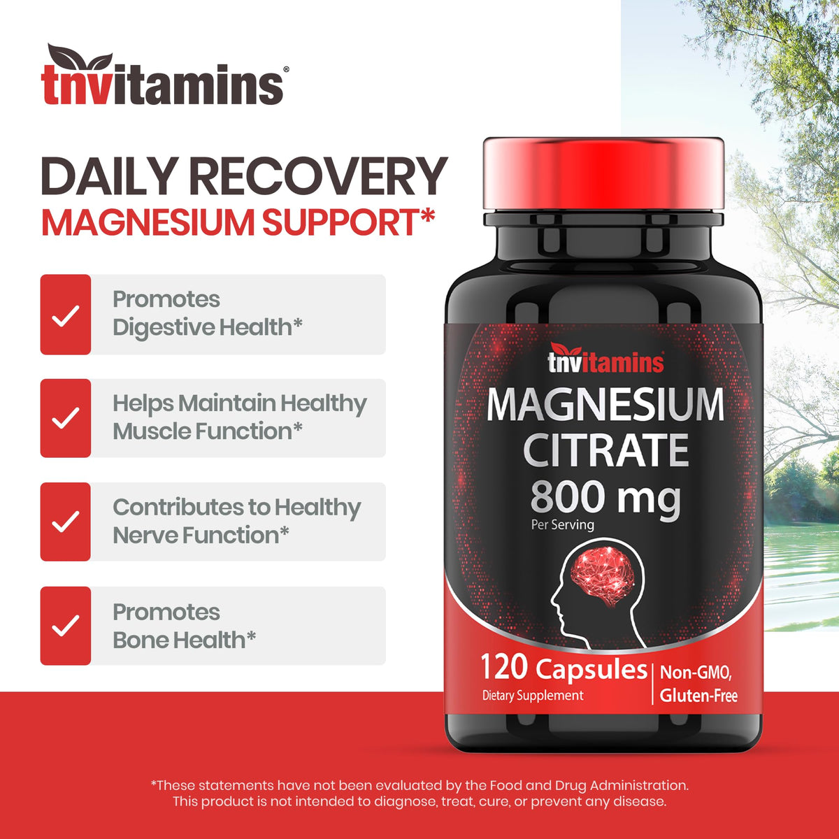 TNVitamins Magnesium Citrate 800 MG - 120 Capsules | Two Month Supply! | Pure Magnesium Citrate Powder Capsules | Citrato De Magnesio | Non-GMO | Produced in the USA!