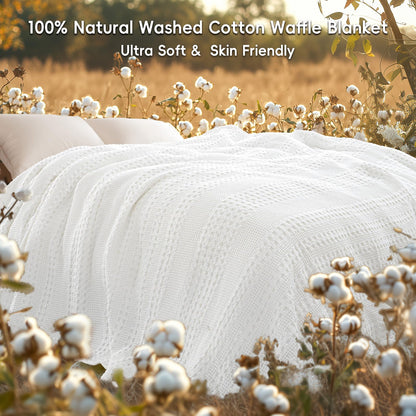 David's Home 100% Cotton Waffle Weave Throw Bed Blanket Queen Size, Lightweight Breathable Soft Spring Blanket for Bed, Gift for Women, Aesthetics Home Decor for Couch Sofa Bedding，White，90" * 90"