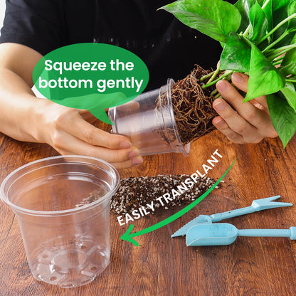 Bluepro 36 Packs 5/4/3.5 Inch Reinforced Clear Nursery Pots with Drainage Hole, Transparent Variety Pack Plastic Plant Pot Seedling Planter for Vegetable Propagation, Root Cutting, Seed Starting