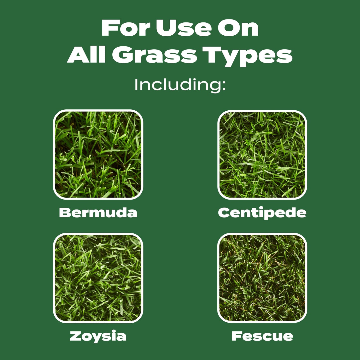 Scotts Turf Builder Lawn Food - Fertilizer for All Grass Types, 15,000 sq. ft., 37.50 lbs.