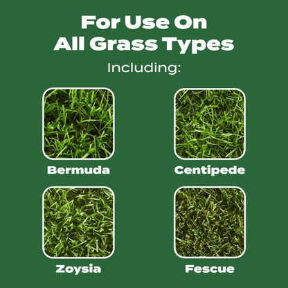 Scotts Turf Builder Lawn Food - Fertilizer for All Grass Types, 15,000 sq. ft., 37.50 lbs.