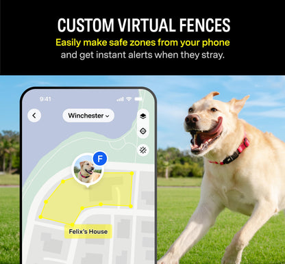 Fi Series 3 Smart Dog Collar - GPS Dog Tracker and Activity & Fitness Monitor, Waterproof, LED Light, Escape Alerts, Nationwide Coverage [Free 1 Year Membership] (Gray, Large)