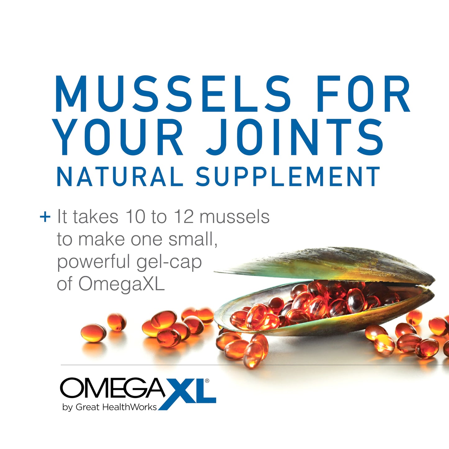 OmegaXL Joint Support Supplement, for Relief - Natural Muscle Support, Green Lipped Mussel Oil, Soft Gel Pills, Drug-Free, 60 Count